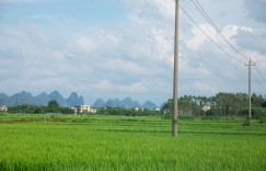 集池库：知乎文章从流量密码到深度共鸣​