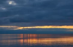 集池库：小红书时代的真实表达与精神自由缩略图